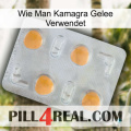 How To Use Kamagra Jelly 24
